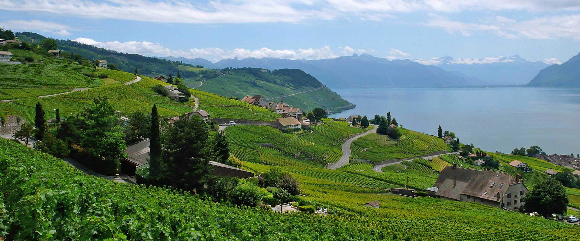 Panorama Du vignoble de Lavaux Patrimoine Mondial de l'UNESCO